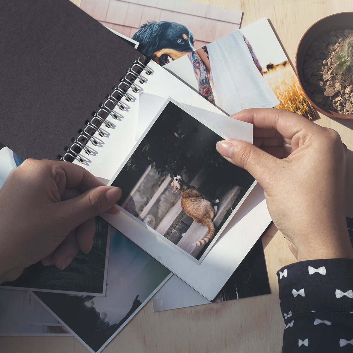 Foto Sticker Cuadrado – Snapshot Chile